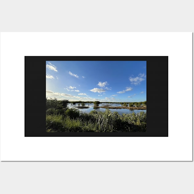 Florida Everglades Wall Art by Sparkleweather